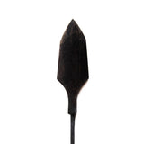 Willow Leaf Arrowhead
