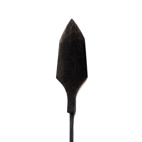 Willow Leaf Arrowhead