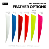 Custom 3K Carbon Arrows