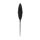 Spinach Leaf Arrowhead