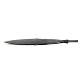 Spinach Leaf Arrowhead