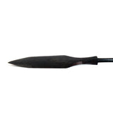 Willow Leaf Arrowhead