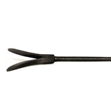 Swallow Tail Arrowhead
